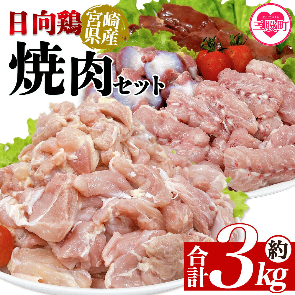 宮崎県産日向鶏 焼肉セット 約3kg 国産 鶏 肉 精肉 とりにく もも モモ肉 せせり セセリ 肝 レバー 砂肝 すなぎも きも 小肉 焼き鳥 焼き肉 BBQ 使いやすい 小分けパック 【MI454-tr】