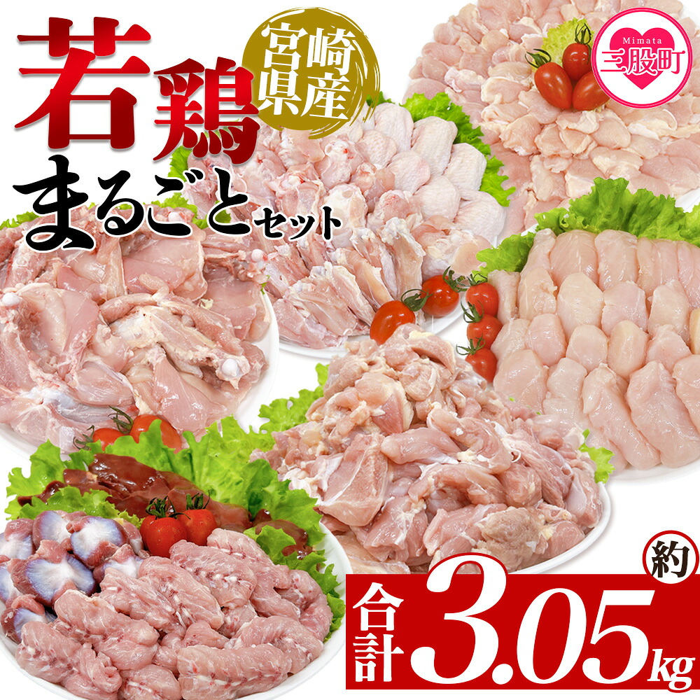 宮崎県産若鶏まるごとセット 約3.05kg 国産 鶏 肉 精肉 モモ もも肉 使いやすい 小分けパック 冷凍食品 真空冷凍 切り身 選べる数量 お弁当 惣菜 からあげ 照り焼き 【MI443-tr】