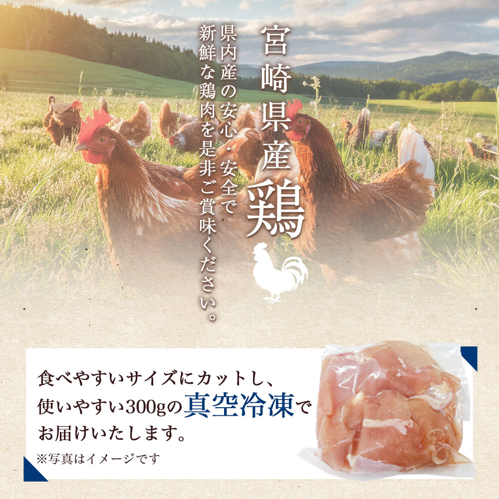 宮崎県産若鶏焼肉セット 約4.2kg 国産 鶏 肉 精肉 モモ もも肉 使いやすい 真空冷凍 切り身 選べる数量 お弁当 惣菜 からあげ 照り焼き 数量限定 BBQ バーベキュー セセリ 【MI445-tr】