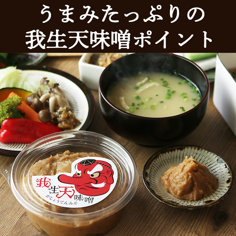 我生天味噌と塩御殿(白)のセット 味付き塩 うまみ 旨味塩 万能調味料 みそ ミソ 味噌 鍋料理 下味 味付け 料理用 もつ キムチ 寄せ鍋 どぶろく ドブロク お味噌汁 発酵食品 まろやか 【MI707-gs】