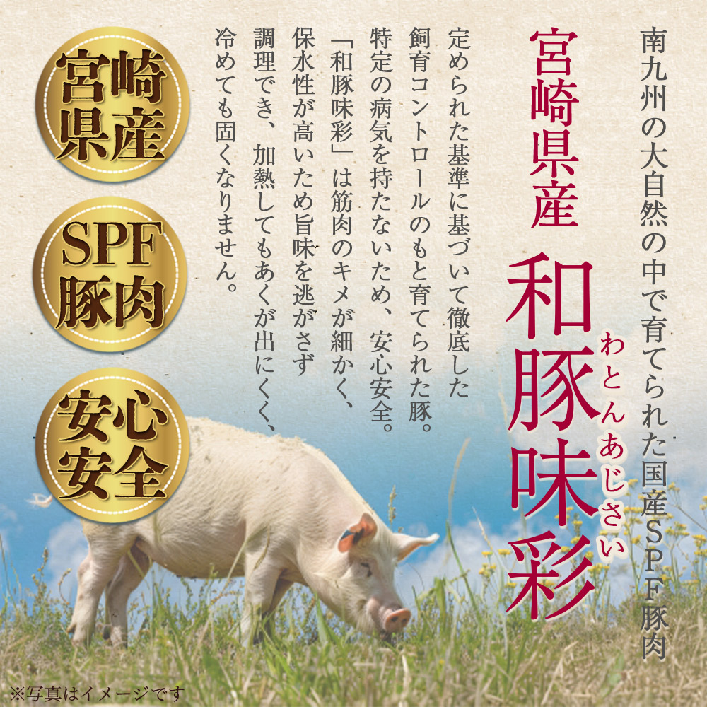 和豚味彩 豚肉バラエティ約3.2kgセット バラエティー 国産 ぶた お肉 ブタ 精肉 切り落し こま 小間切れ 豚コマ バラ肉 使いやすい 小分けパック 冷凍食品 保存 切り身 スライス 【MI552-tr】