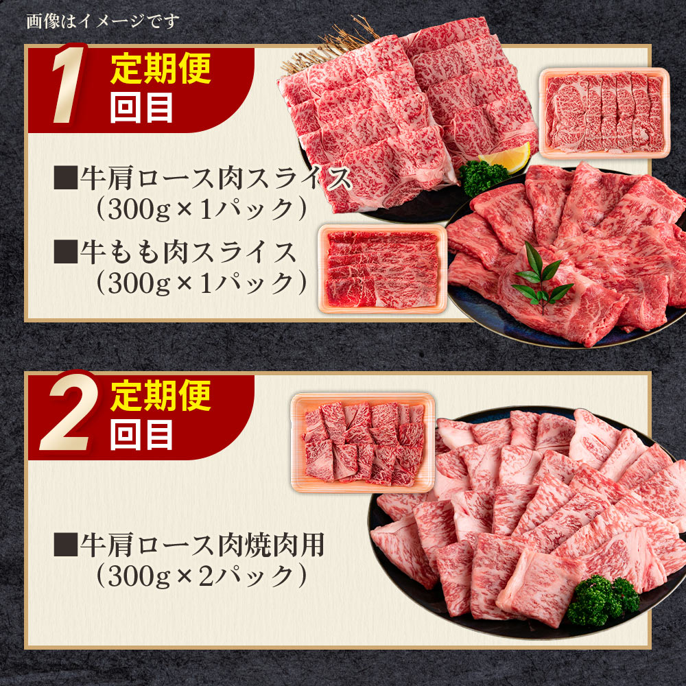 【定期便全6回連続】宮崎牛と豚・鶏 食べ比べセット 約8.3kg厳選 サーロイン 肩ロース ミスジ スライス ステーキ 若鶏 もも モモ むね ムネ 小間切れ A4ランク ブランド牛 希少部位 【MI633-mk】