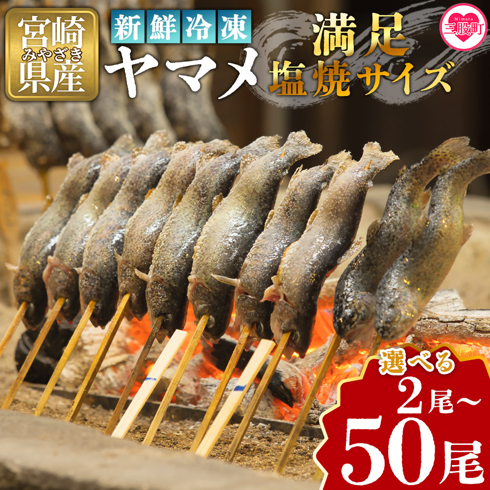 新鮮冷凍ヤマメ 2尾/10尾/30尾/50尾 国産 九州産 尺ヤマメ 山女魚 水産物 魚 魚介 川魚 養殖魚 塩焼き 【MI770-sk】