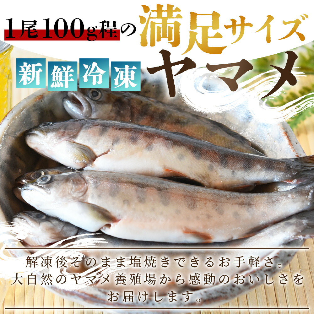 新鮮冷凍ヤマメ 2尾/10尾/30尾/50尾 国産 九州産 尺ヤマメ 山女魚 水産物 魚 魚介 川魚 養殖魚 塩焼き 【MI770-sk】