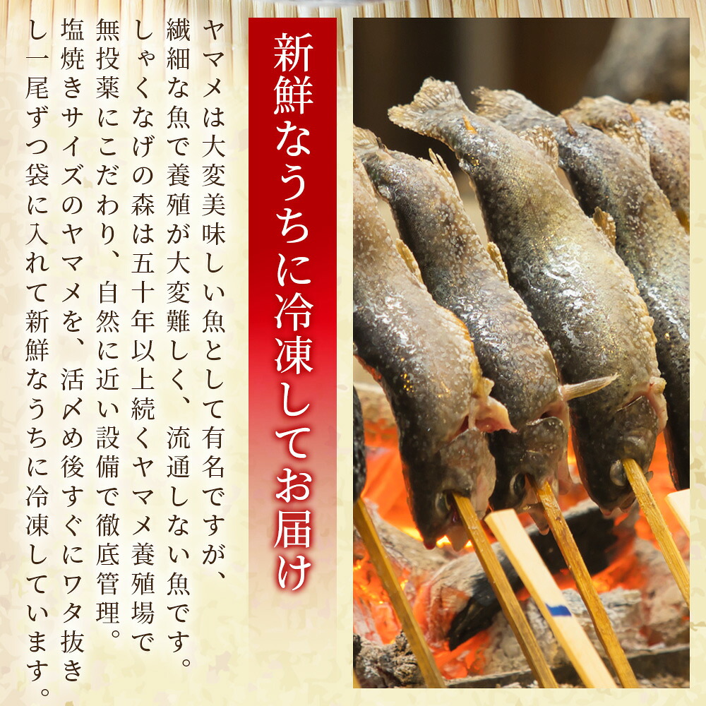 新鮮冷凍ヤマメ 2尾/10尾/30尾/50尾 国産 九州産 尺ヤマメ 山女魚 水産物 魚 魚介 川魚 養殖魚 塩焼き 【MI770-sk】