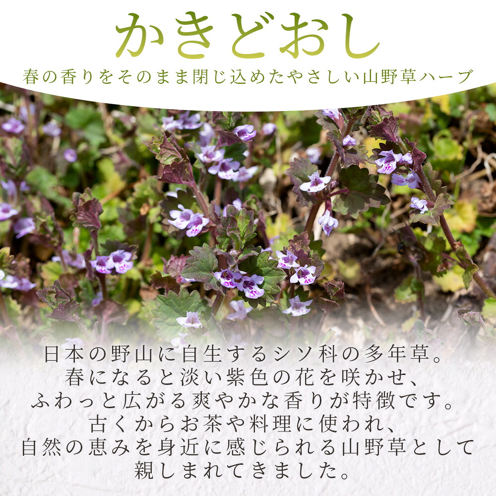かきどおし24g 1袋 国産 野草シリーズ 乾燥 お茶 飲み物 野草酒 料理 ポプリ 肥料 アレンジ ハーブティー 持ち運びに便利 プチギフト プレゼント 宮崎県 三股町【MI776-bi】【美香園】