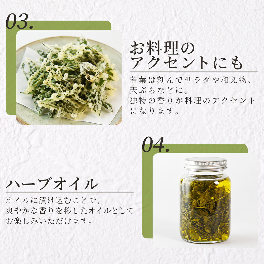 かきどおし24g 1袋 国産 野草シリーズ 乾燥 お茶 飲み物 野草酒 料理 ポプリ 肥料 アレンジ ハーブティー 持ち運びに便利 プチギフト プレゼント 宮崎県 三股町【MI776-bi】【美香園】