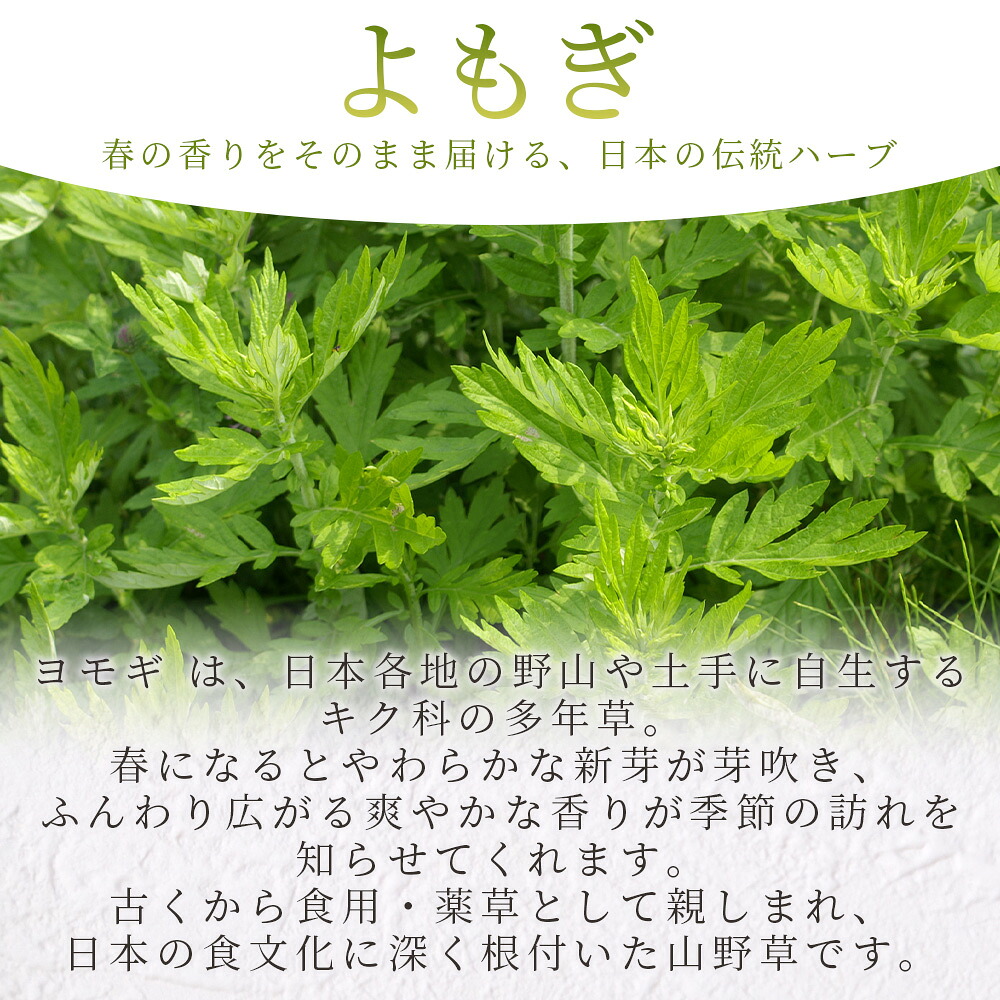 よもぎ15g 1袋 国産 野草シリーズ 乾燥 お茶 飲み物 野草酒 料理 ポプリ 化粧品 入浴剤 染料 肥料 アレンジ ハーブティー 持ち運びに便利 プチギフト プレゼント 三股町【MI777-bi】