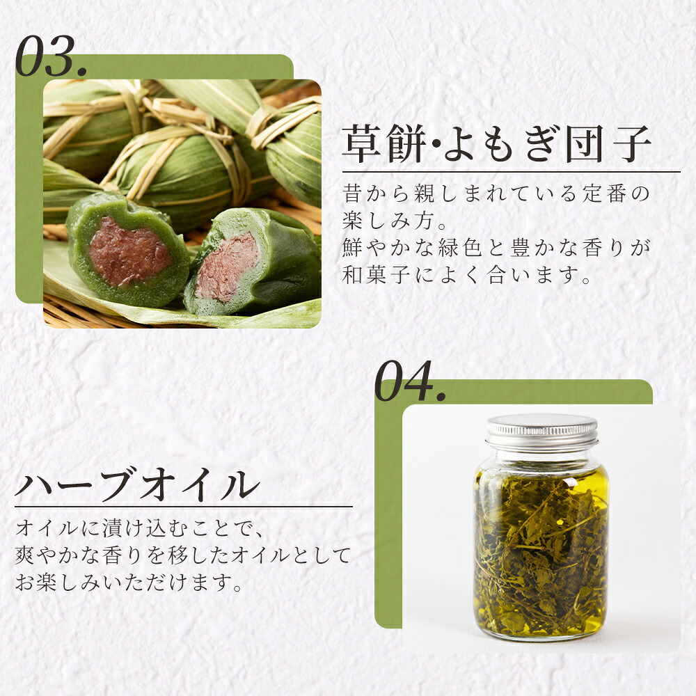 よもぎ15g 1袋 国産 野草シリーズ 乾燥 お茶 飲み物 野草酒 料理 ポプリ 化粧品 入浴剤 染料 肥料 アレンジ ハーブティー 持ち運びに便利 プチギフト プレゼント 三股町【MI777-bi】
