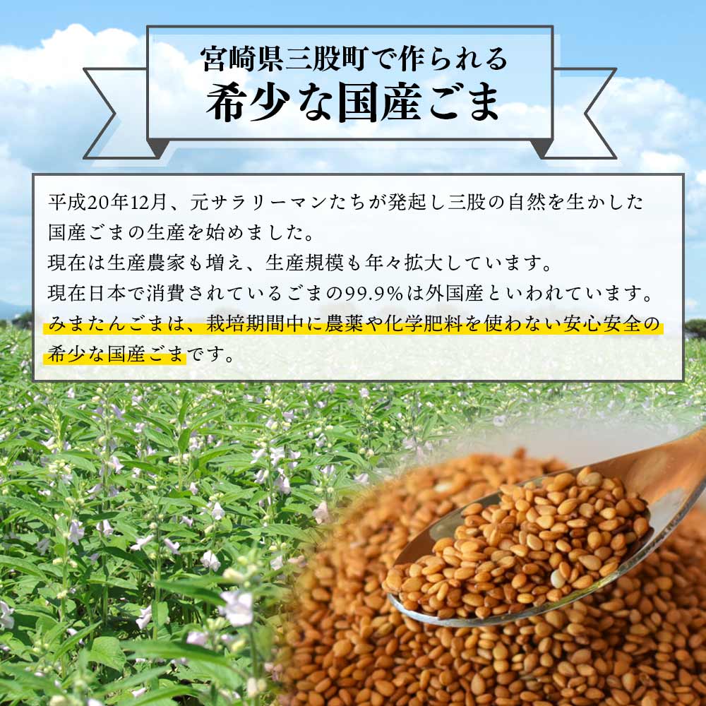 みまたん黒ごまたっぷりアイス(100ml入り×6カップ)宮崎県産黒ごま 黒ごまと甘乳蘇をミックスさせたごま風味のアイスクリーム！ 数量限定 宮崎県産 国産 九州産 胡麻 ゴマ 【MI016-sm】