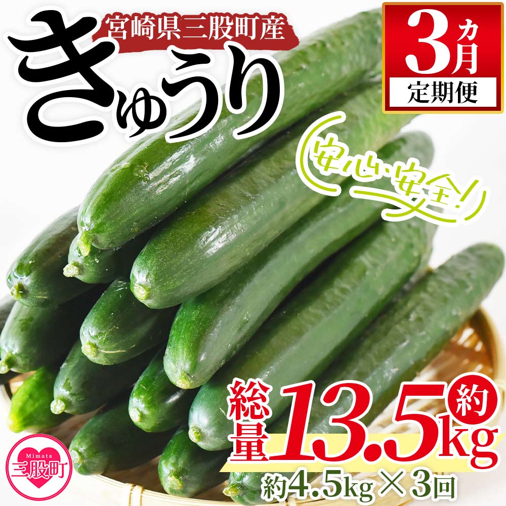 【先行予約】【期間限定】【3ヵ月定期便】パリッと甘い魔法のきゅうり マジキュー約4.5kg×3回(総量約13.5kg・約4.5kg×3回) 甘い キュウリ マジキュー 漬物 天ぷら 【MI200-yt】