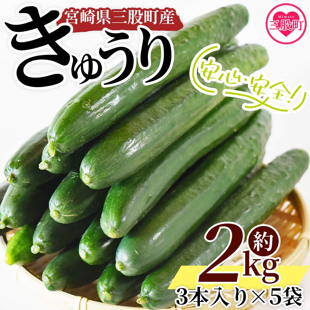 【先行予約】【期間限定】宮崎県産きゅうり(約2kg)(約2kg・3本入り×5袋)パリッと甘い魔法のキュウリ「マジキュー」漬物や天ぷらに!きゅうり 野菜 国産 胡瓜 促成栽培 キュウリ 【MI149-yt】