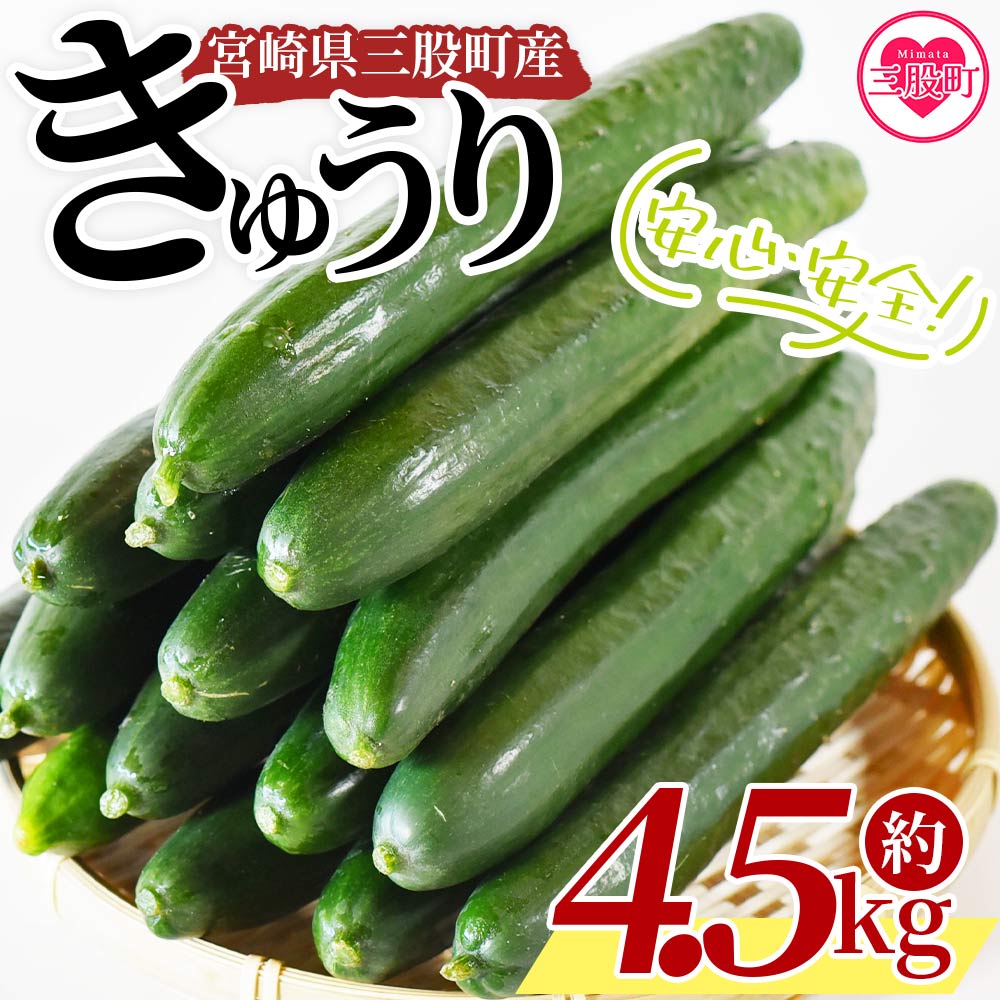 【先行予約】【期間限定】パリッと甘い魔法のきゅうり マジキュー4.5kg(約4.5kg)パリッと甘い魔法のキュウリ「マジキュー」漬物や天ぷらに！ ゆたか農園 【A-1901-yt】