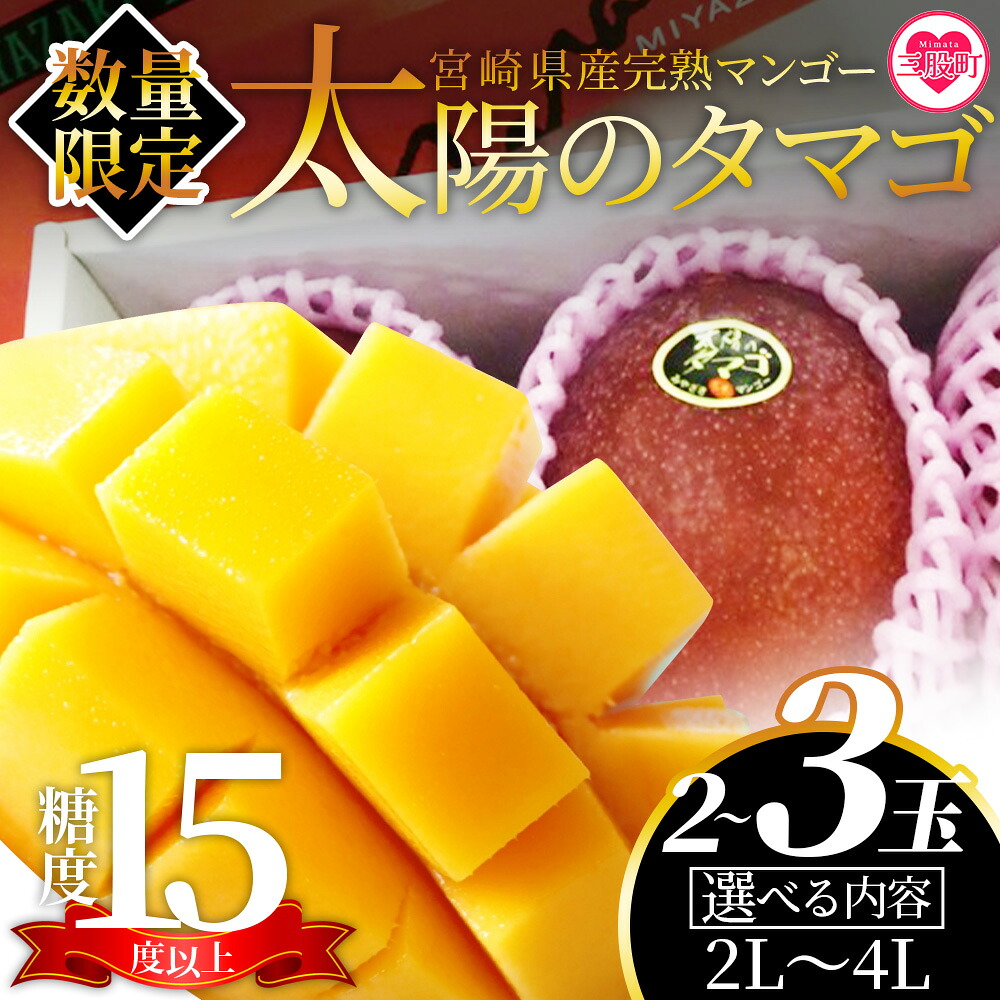 【先行予約受付開始】【期間数量限定】2027年5月より順次発送＜宮崎県産完熟マンゴー 太陽のタマゴ＞2〜3玉入 2L〜4L 大玉 国産 九州 宮崎 マンゴー 完熟 旬 夏 果物 フルーツ セット冷蔵配送【B-0606-yk-x1】
