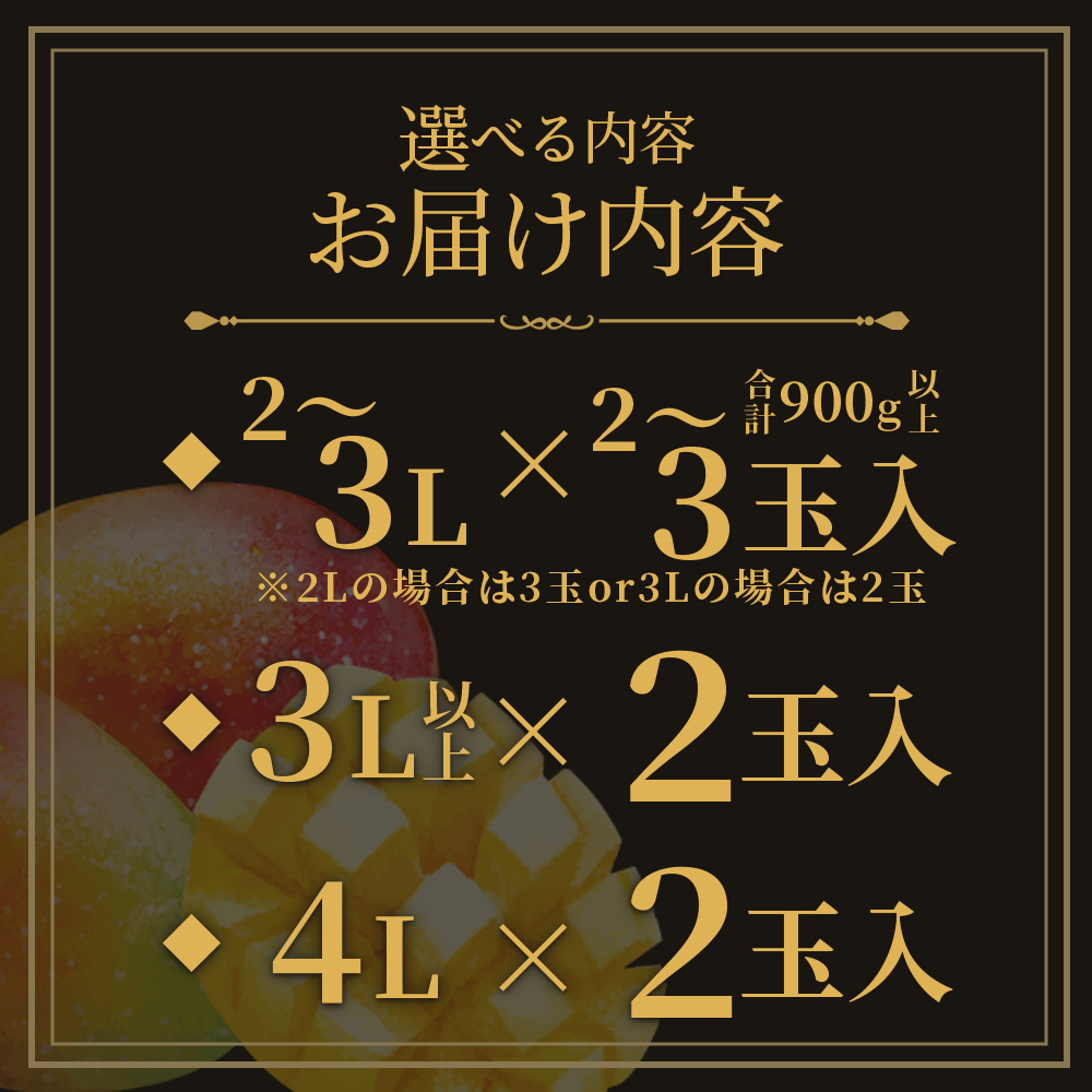【先行予約受付開始】【期間数量限定】2027年5月より順次発送＜宮崎県産完熟マンゴー 太陽のタマゴ＞2〜3玉入 2L〜4L 大玉 国産 九州 宮崎 マンゴー 完熟 旬 夏 果物 フルーツ セット冷蔵配送【B-0606-yk-x1】