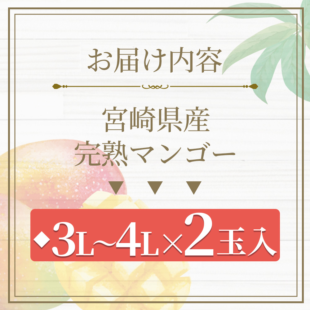 【先行予約受付開始】【期間数量限定】2027年5月より順次発送宮崎県産完熟マンゴー 2L 2玉 国産 宮崎 マンゴー 完熟 旬 果物 フルーツ セット 等級A 階級【B-0602-yk-x1】