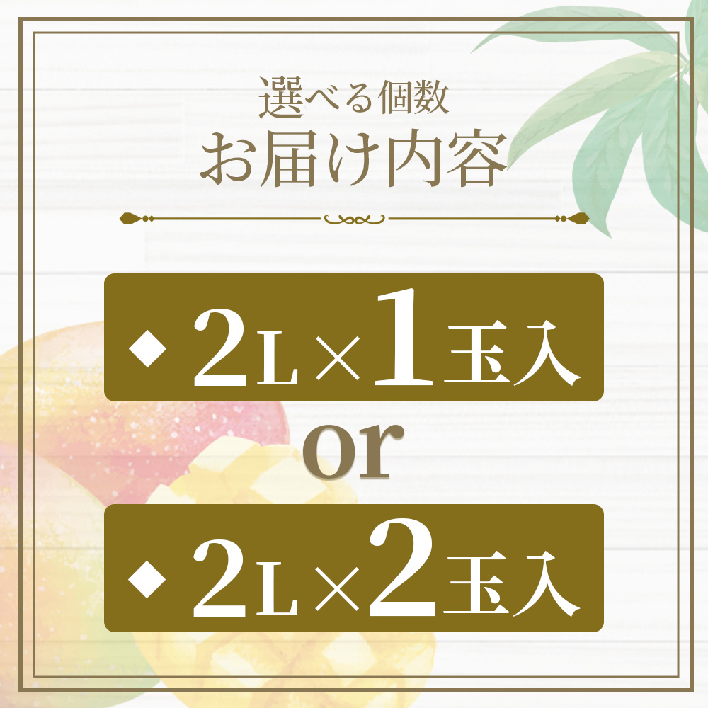 【先行予約受付開始】【期間数量限定】2027年5月より順次発送＜選べる個数 宮崎県産完熟マンゴー 2L 1〜2玉入＞国産 九州 宮崎 マンゴー 完熟 旬 夏 果物 フルーツ セット 冷蔵配送【MI232-yk-x1】