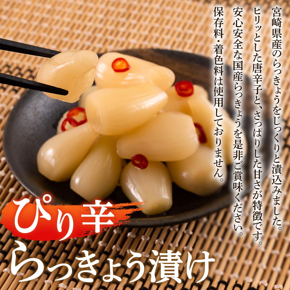 純国産ぴり辛らっきょう1.3kg（130g×10P） らつきょう ラッキョウ 辣韭 おつまみ 肴 ご飯のおとも 野菜 旬 漬物 国産 宮崎県産 九州産 保存料・着色料不使用【MI013-ko】