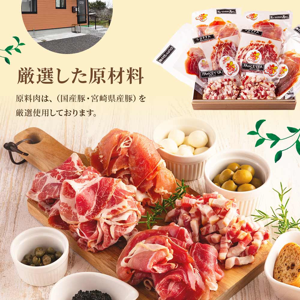 国産豚生ハムバラエティーセット(計450g/900g) 国産 豚肉 豚モモ 豚バラ 肩肉 生ハム スライス 切り落とし パンチェッタ 短冊 コッパスライス サラダ BBQ おつまみ お祝い 誕生日 結婚記念日 【MI270-pl】