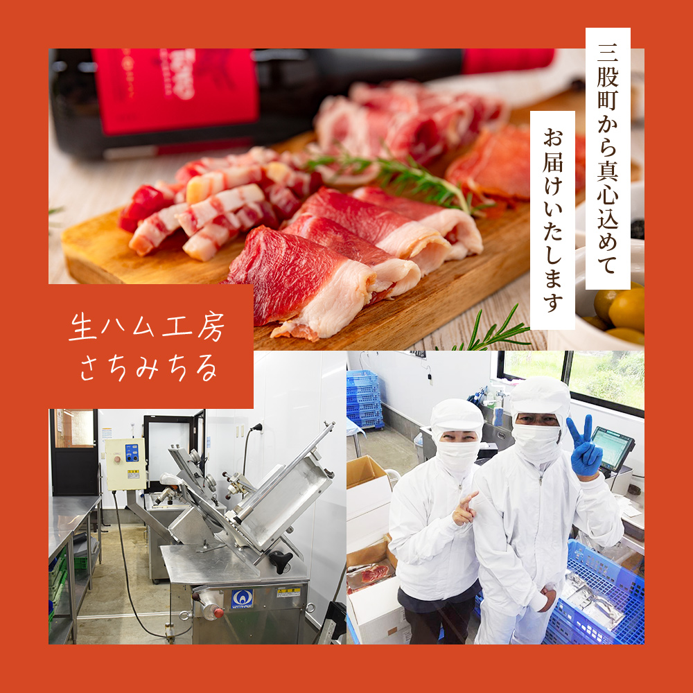 国産豚生ハムバラエティーセット(計450g/900g) 国産 豚肉 豚モモ 豚バラ 肩肉 生ハム スライス 切り落とし パンチェッタ 短冊 コッパスライス サラダ BBQ おつまみ お祝い 誕生日 結婚記念日 【MI270-pl】