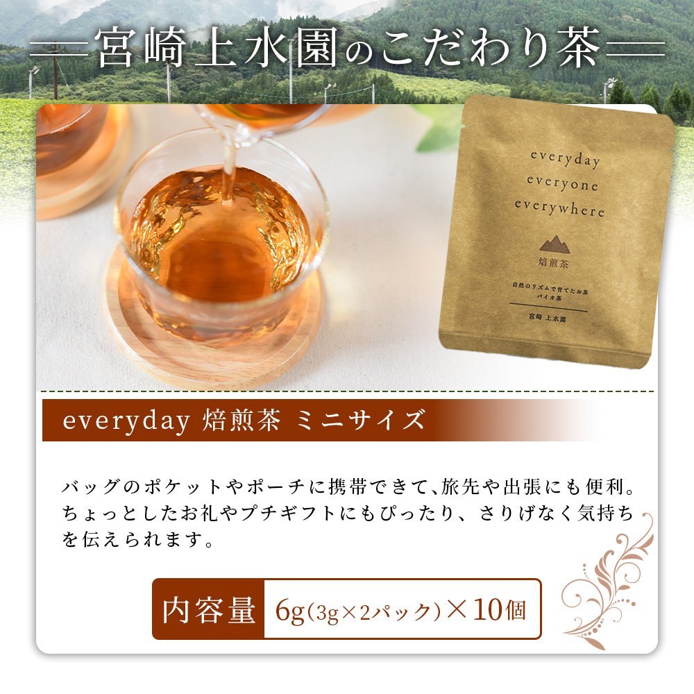 everyday 焙煎茶 ミニサイズ 10個セット 国産 バイオ茶 お茶 飲料 ほうじ茶 焙じ茶 飲み物 ティーバッグ パック 香ばしい まろやか 携帯 プチギフト 贈り物 プレゼント 持ち運びに便利【MI786-km】