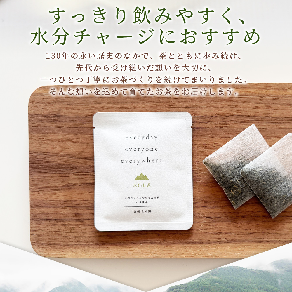 everyday 水出し茶 ミニサイズ 10個セット 国産 バイオ茶 お茶 飲料 緑茶 飲み物 ティーバッグ パック 水分チャージ 水分補給 携帯 プチギフト 贈り物 プレゼント 持ち運びに便利【MI785-km】