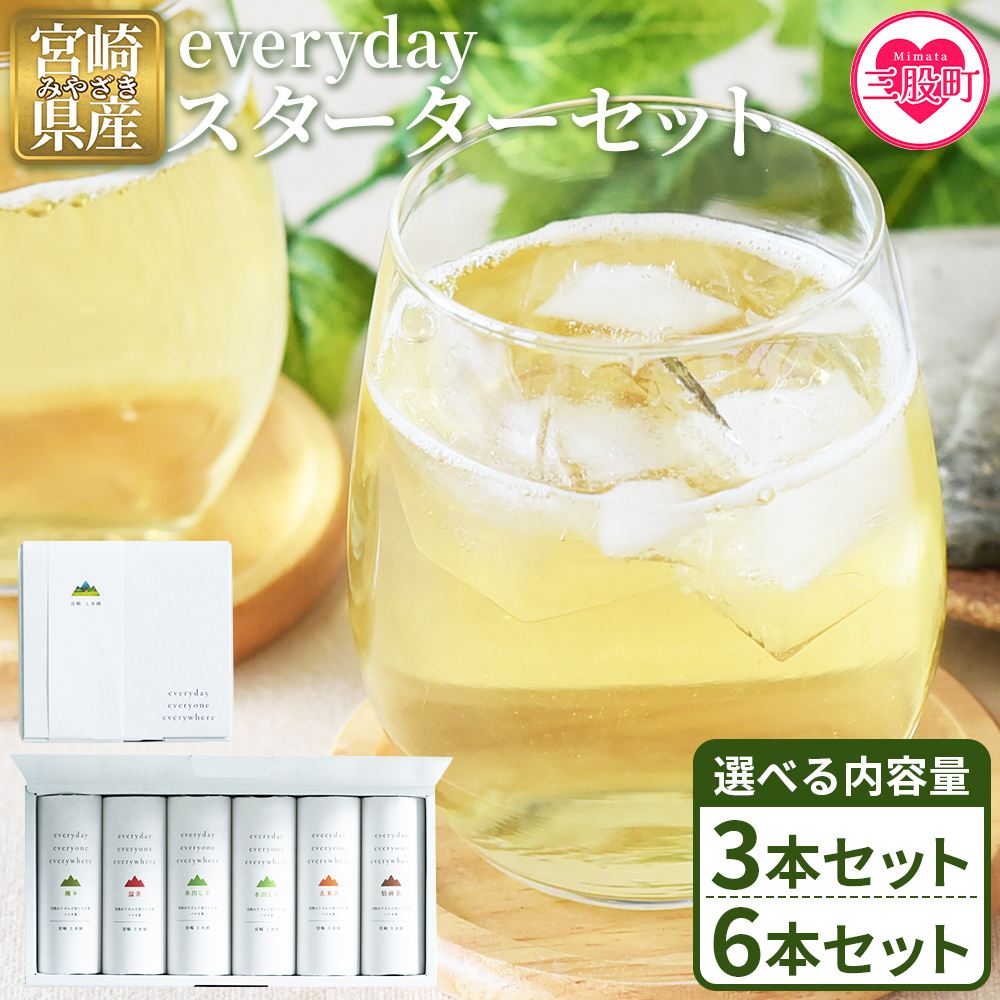 everyday スターターセット 選べる 内容量 3本 6本 お茶 水出し茶 温茶 焙煎茶 玄米茶 微粉末茶 バイオ茶 飲み物 飲料【MI781-km】
