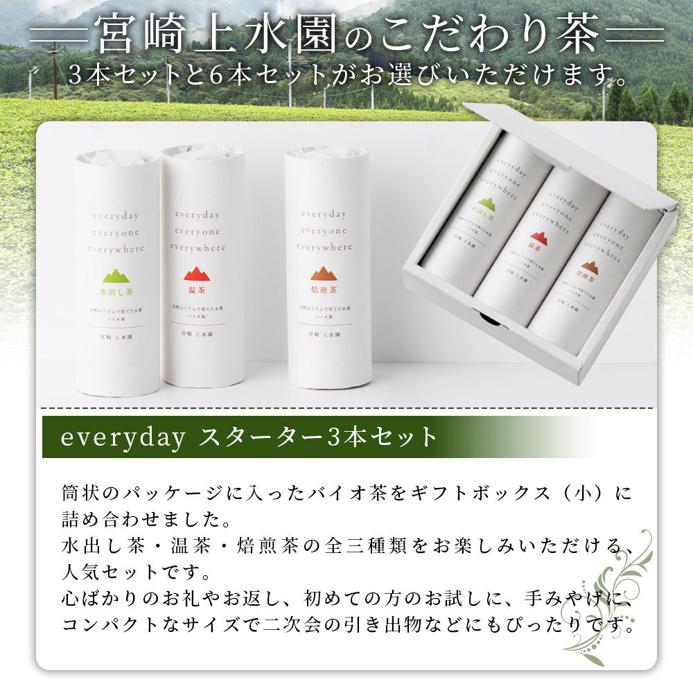 everyday スターターセット 選べる 内容量 3本 6本 お茶 水出し茶 温茶 焙煎茶 玄米茶 微粉末茶 バイオ茶 飲み物 飲料【MI781-km】