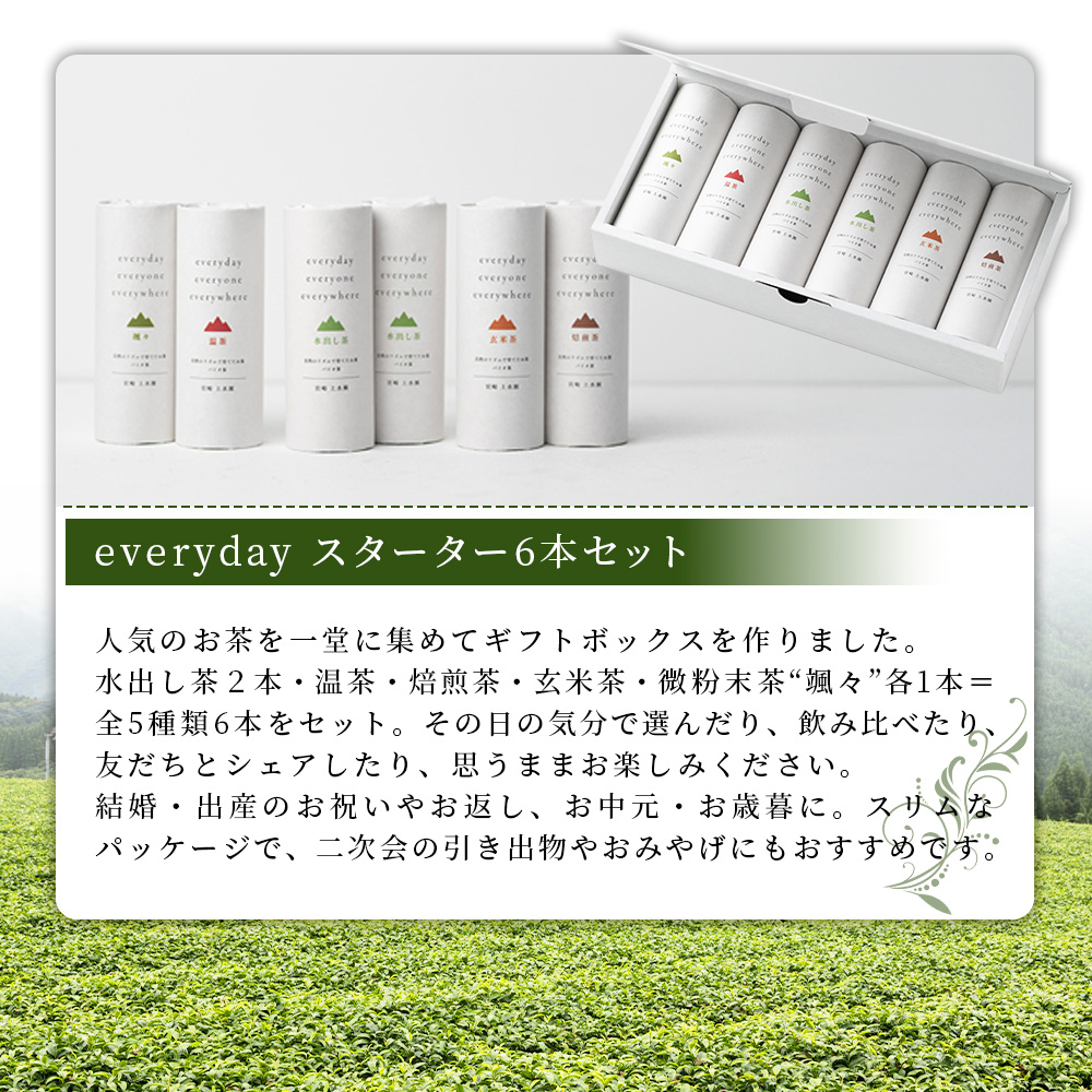 everyday スターターセット 選べる 内容量 3本 6本 お茶 水出し茶 温茶 焙煎茶 玄米茶 微粉末茶 バイオ茶 飲み物 飲料【MI781-km】