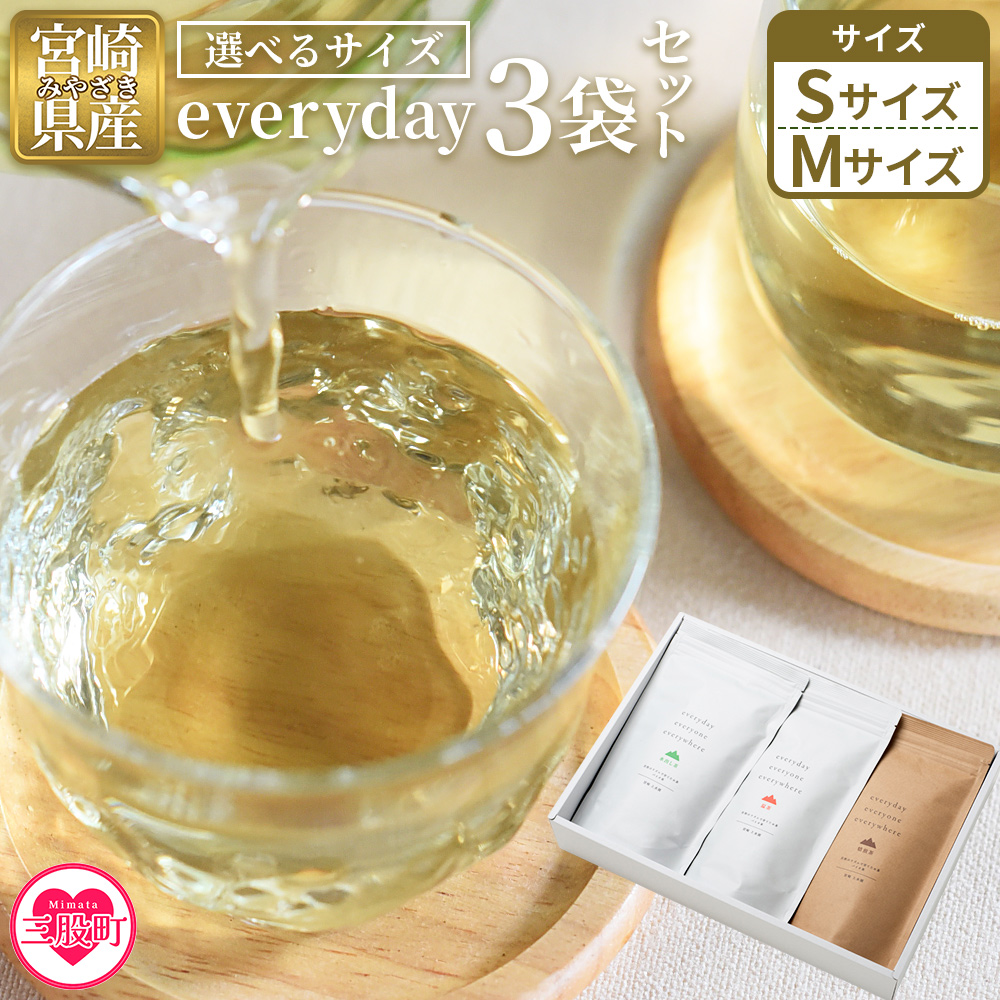 everyday 3袋セット 選べる 内容量 Sサイズ Mサイズ お茶 水出し茶 温茶 焙煎茶 バイオ茶 飲み物 飲料【MI783-km】