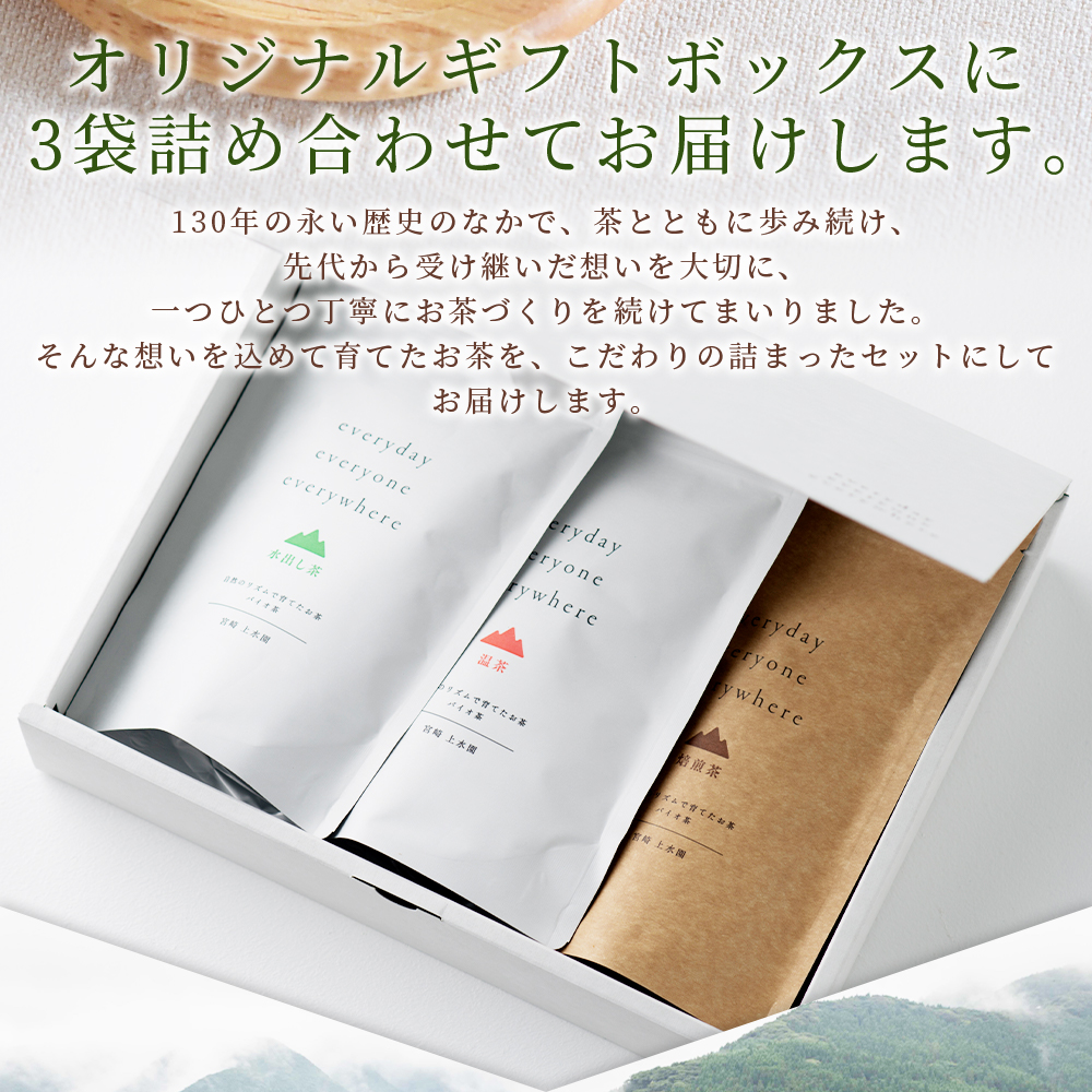 everyday 3袋セット 選べる 内容量 Sサイズ Mサイズ お茶 水出し茶 温茶 焙煎茶 バイオ茶 飲み物 飲料【MI783-km】