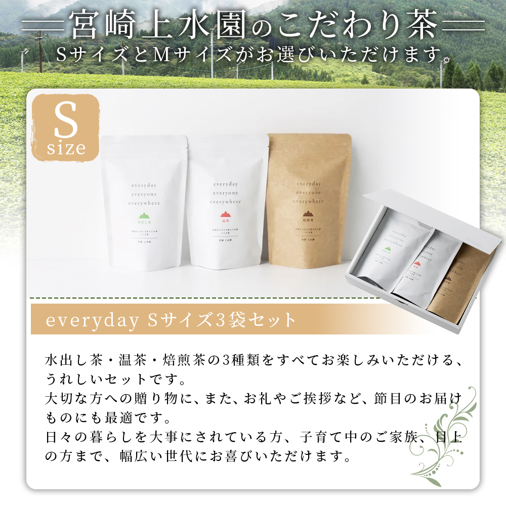 everyday 3袋セット 選べる 内容量 Sサイズ Mサイズ お茶 水出し茶 温茶 焙煎茶 バイオ茶 飲み物 飲料【MI783-km】