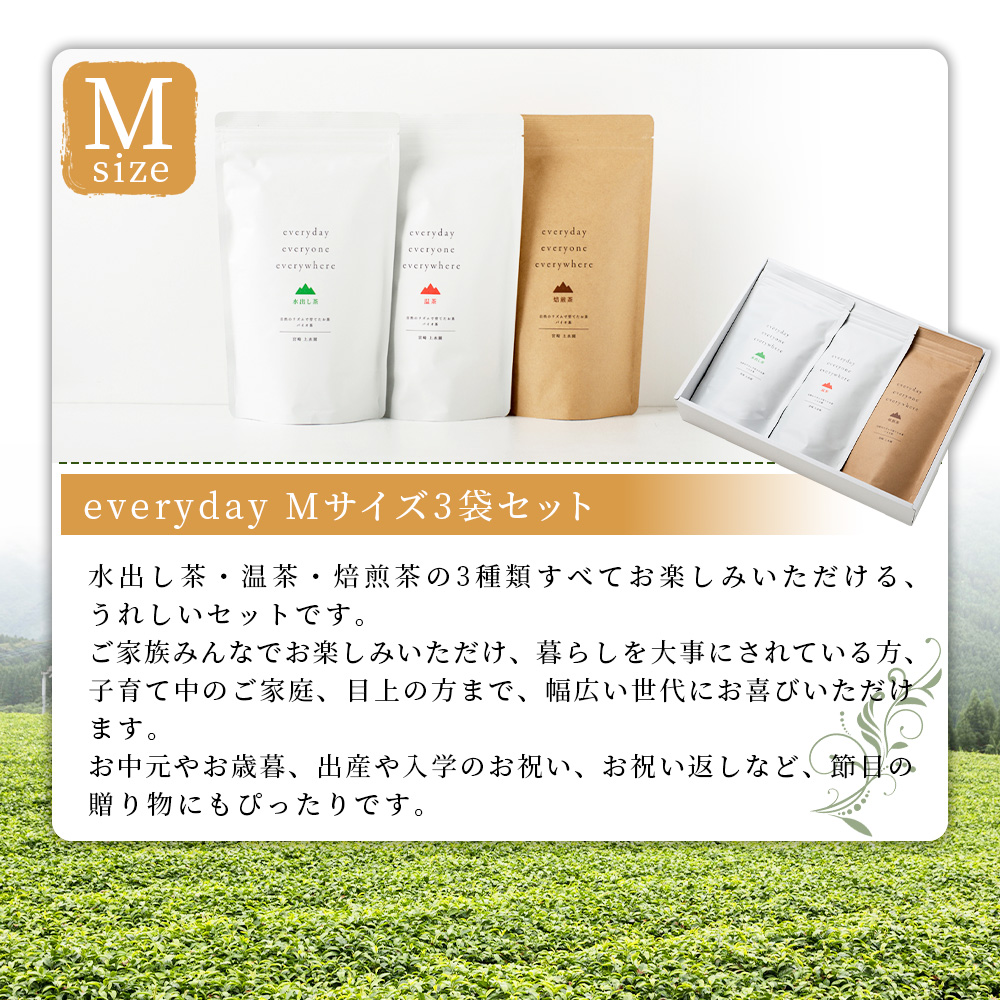 everyday 3袋セット 選べる 内容量 Sサイズ Mサイズ お茶 水出し茶 温茶 焙煎茶 バイオ茶 飲み物 飲料【MI783-km】