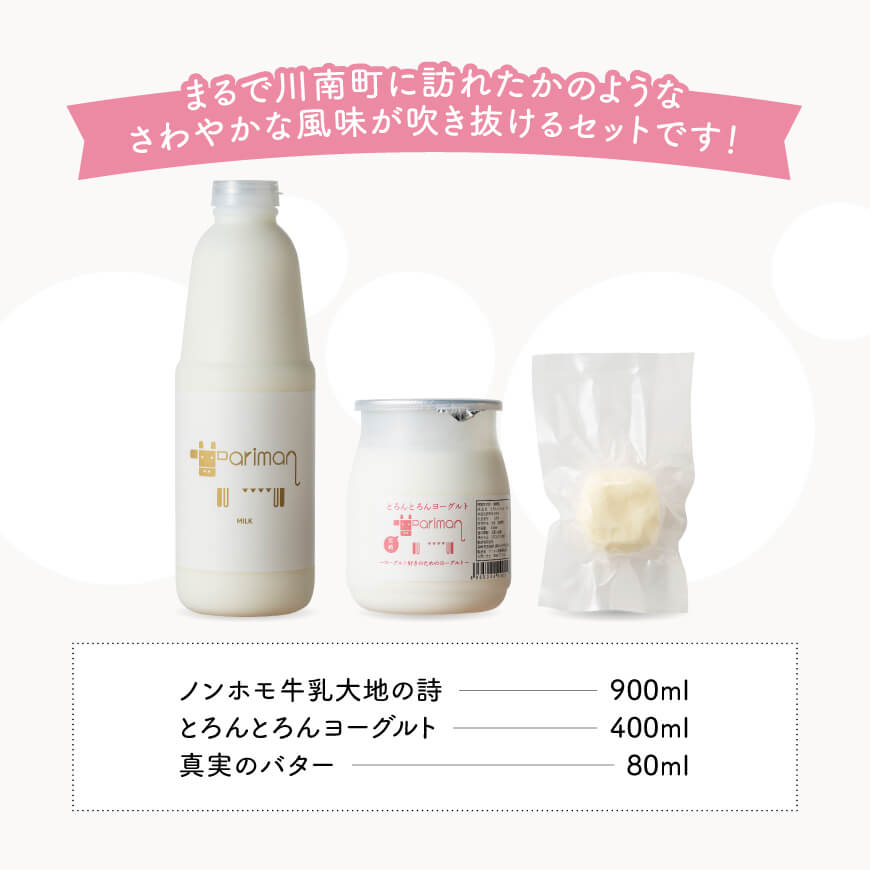 川南のさわやかな風セット とろんとろんヨーグルト トロントロンヨーグルト トロントロン 宮崎県 川南 牛乳 ヨーグルト バター セット 送料無料