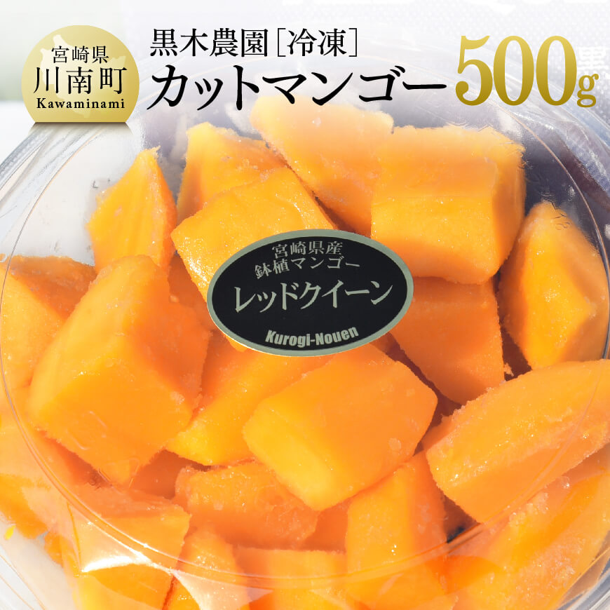 宮崎県産マンゴー 黒木農園の冷凍カットマンゴー（種なし）500g レッドクイーン マンゴー 果物 フルーツ スイーツ