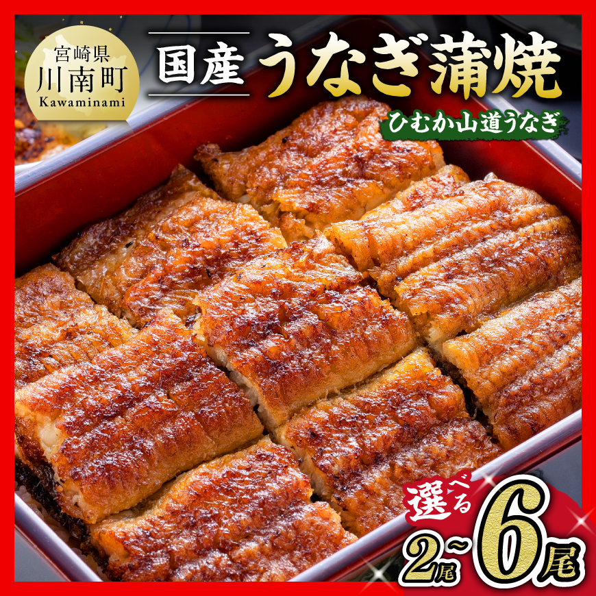 ※内容量が選べる※【名店の味！宮崎県産鰻】ひむか山道うなぎ蒲焼２～６尾 国産 うなぎ 鰻 かば焼き 蒲焼き 手焼き 宮崎県産 川南町産 九州産 ウナギ 送料無料 ひむか山道うなぎ ブランドうなぎ