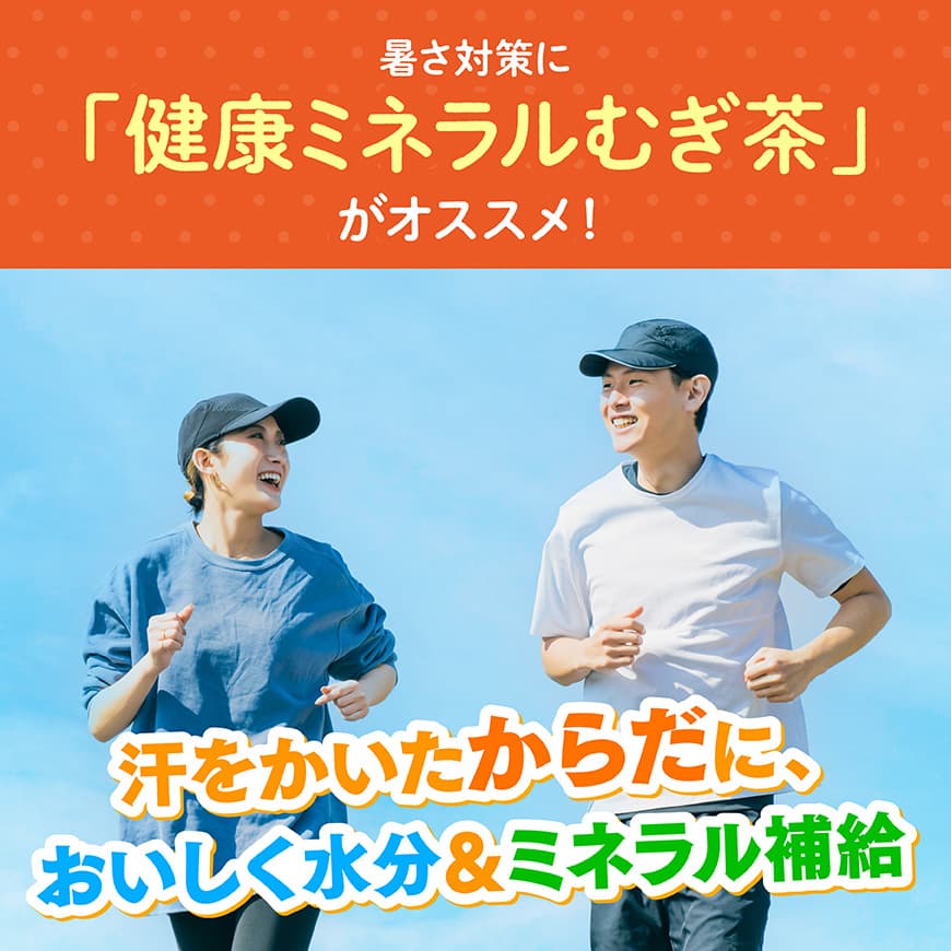 ※本数・回数が選べる※ 伊藤園 健康ミネラル むぎ茶PET 650ml - 24本 / 48本 / 1回 / 3回 / 6回 カロリーゼロ 水分補給