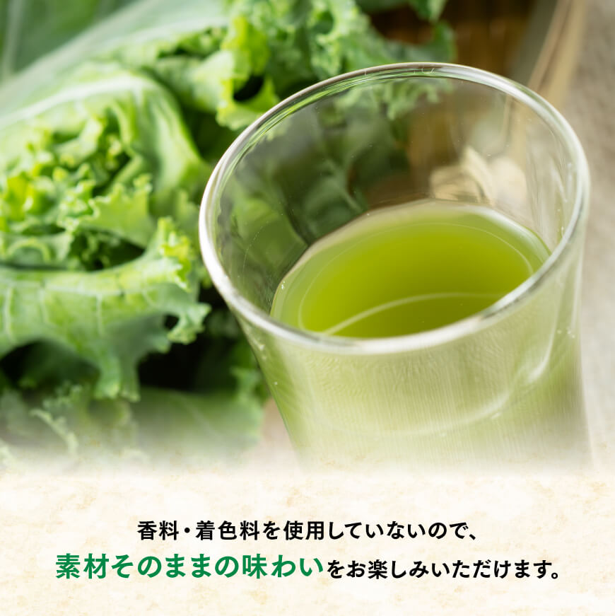 ※本数・回数が選べる※ 伊藤園 毎日1杯の青汁無糖 紙パック200ml - 伊藤園 飲料類 野菜 飲料 青汁 パック 飲みやすい 野菜ジュース ジュース ソフトドリンク