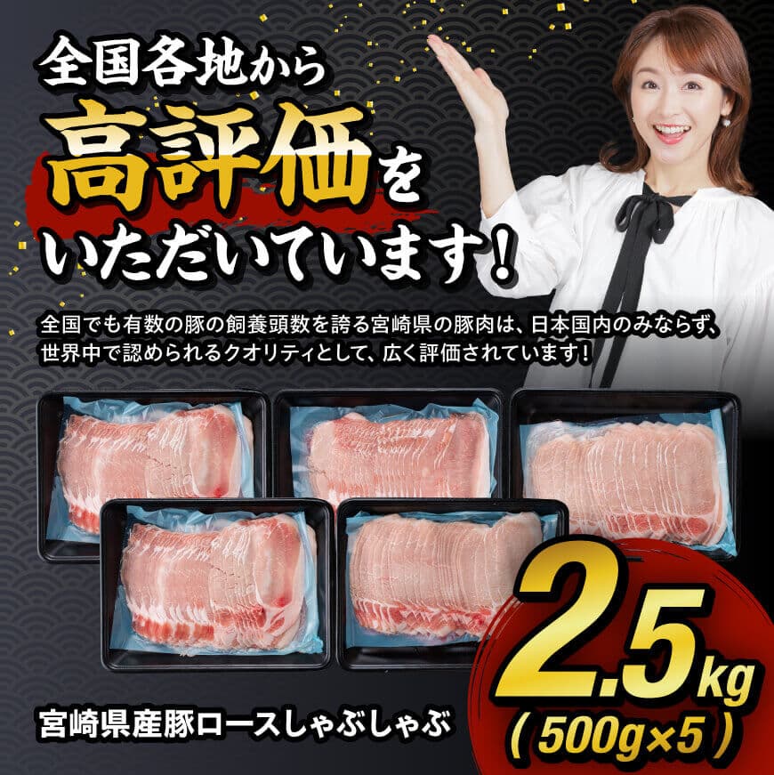宮崎県産豚ロースしゃぶしゃぶ2.5kg 国産 九州産 肉 豚肉 ぶた肉 薄切り スライス 小分け セット しゃぶしゃぶ 冷しゃぶ 豚すき 豚しゃぶ ミヤチク ぶた 便利 簡単 お手軽 送料無料 宮崎県 川南町