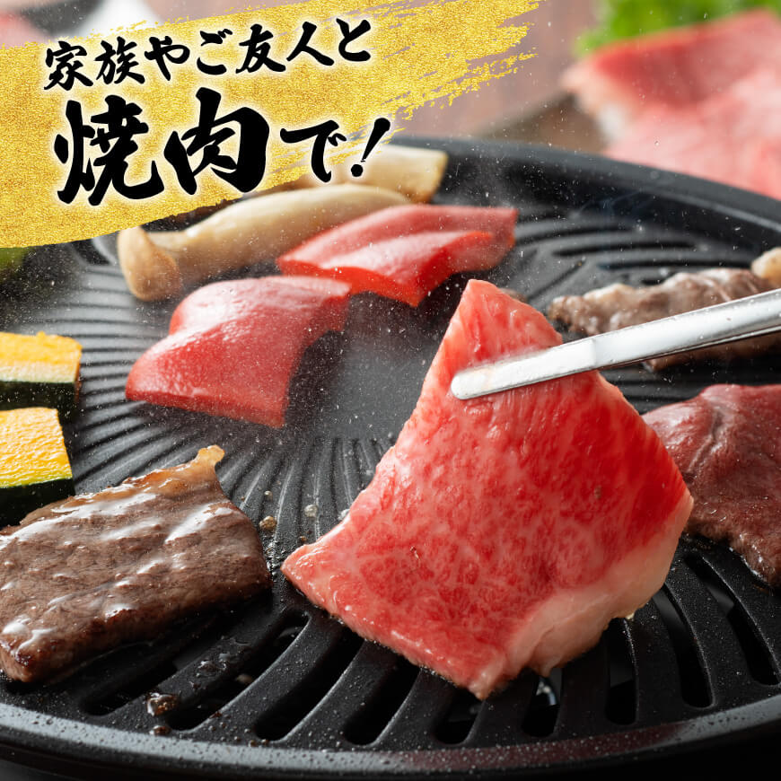 【選べる定期便】宮崎牛赤身定期便 肉 牛肉 国産 宮崎県産 赤身 モモ又はウデ ももブロック 黒毛和牛 和牛 焼肉 BBQ すき焼き D11105t4 E11150t4 E11150t8