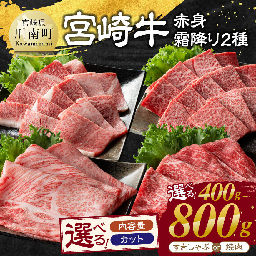 ※内容量・カットが選べる※宮崎牛赤身(ウデorモモ)霜降り2種 - 肉 牛肉 国産 宮崎県産 黒毛和牛 和牛 スライス 焼肉 すき焼き しゃぶしゃぶ BBQ