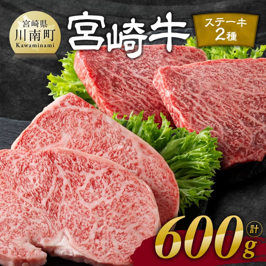 宮崎牛ステーキ 2種 600g 肉 牛肉 黒毛和牛 宮崎県産牛 九州産牛 国産牛 宮崎県産 九州産 国産 ロース モモ ステーキ