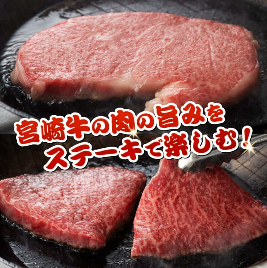 宮崎牛ステーキ 2種 600g 肉 牛肉 黒毛和牛 宮崎県産牛 九州産牛 国産牛 宮崎県産 九州産 国産 ロース モモ ステーキ