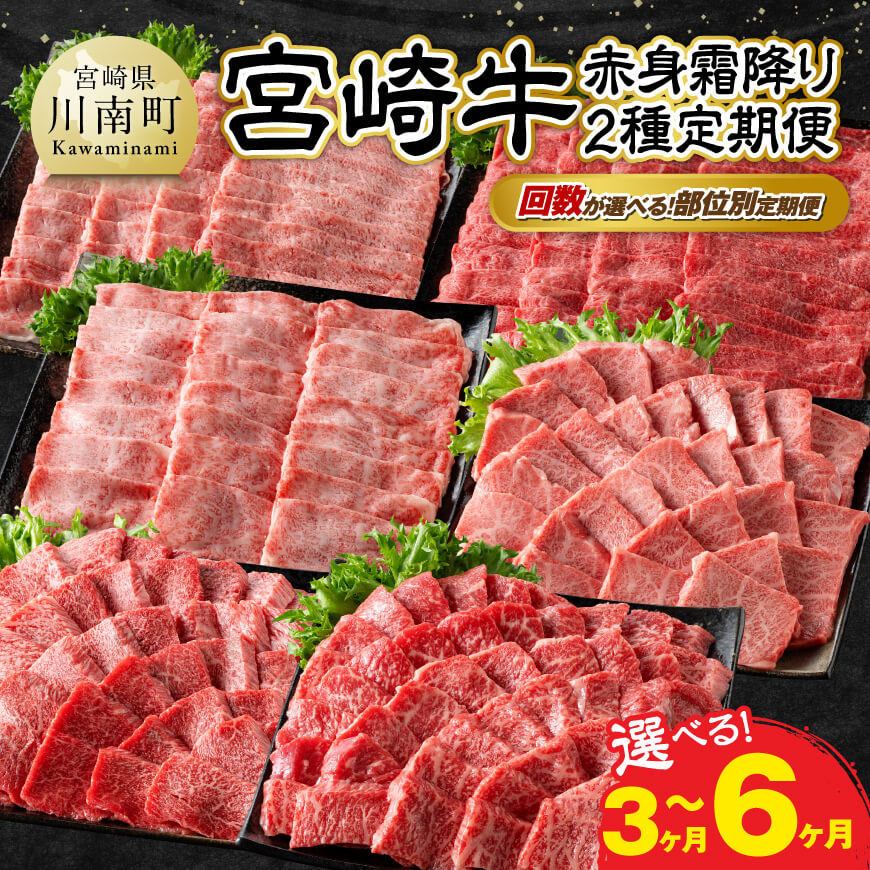 ※回数が選べる部位別定期便※宮崎牛赤身霜降り2種定期便 肉 牛肉 宮崎牛 黒毛和牛 宮崎県産 九州産 国産 肩ロース ウデ モモ 焼肉 バーベキュー 3回 6回 送料無料 宮崎県川南町 E11125 E11126 E11131t6 E11132t6