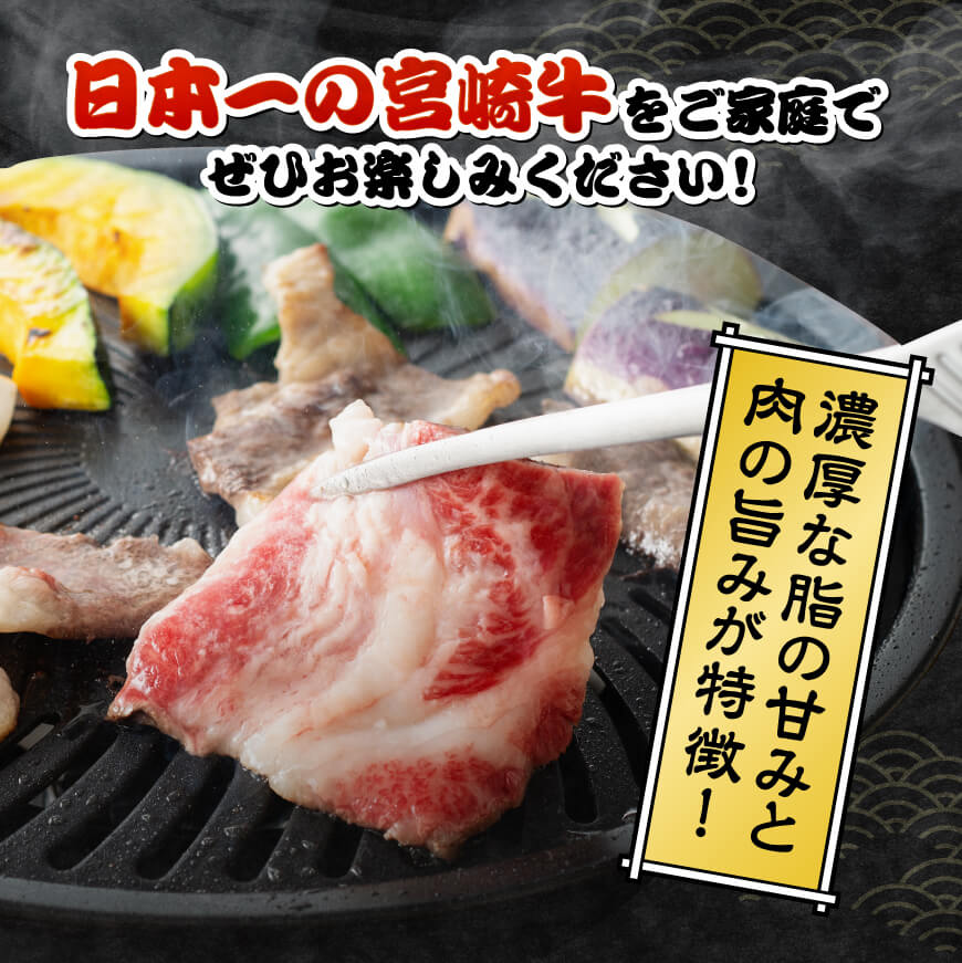 ※内容量・カットが選べる※【訳あり】宮崎牛 カルビ （ バラ ） - 肉 牛肉 黒毛和牛 宮崎県産牛 九州産牛 国産牛 宮崎県産 九州産 国産 焼肉 BBQ キャンプ