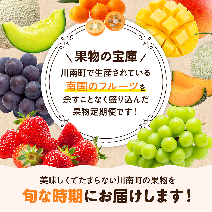※選べる定期便※フルーツ定期便6～12ヶ月 川南町産 くだもの きんかん いちご 完熟 マンゴー ぶどう ピオーネ シャイン マスカット 大玉 メロン