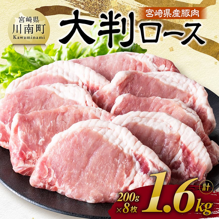 宮崎県産豚肉 大判ロース 1.6kg（200g×8枚）- 肉 豚肉 ステーキ とんかつ ロースステーキ 生姜焼き ポークステーキ ガーリックソテー 味噌カツ トンカツ かつ丼