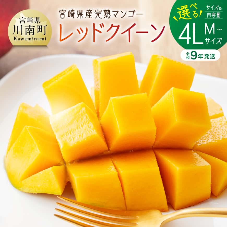 ※内容量が選べる※【令和9年発送】宮崎県産完熟マンゴー 「レッドクイーン」Mサイズ~4Lサイズ - 先行予約 果物 フルーツ マンゴー 宮崎県産 完熟マンゴー