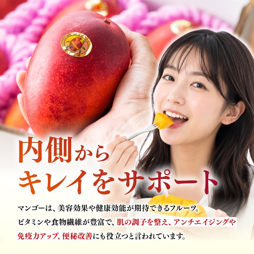 ※内容量が選べる※【令和9年発送】宮崎県産完熟マンゴー 「レッドクイーン」Mサイズ~4Lサイズ - 先行予約 果物 フルーツ マンゴー 宮崎県産 完熟マンゴー