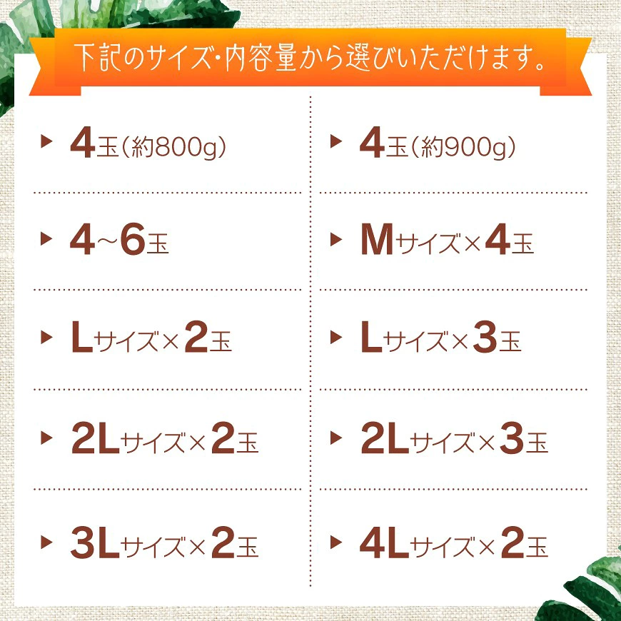 ※内容量が選べる※【令和9年発送】宮崎県産完熟マンゴー 「レッドクイーン」Mサイズ~4Lサイズ - 先行予約 果物 フルーツ マンゴー 宮崎県産 完熟マンゴー